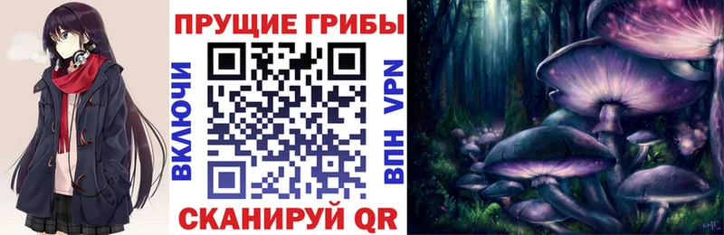Псилоцибиновые грибы ЛСД  блэк спрут сайт  Северская 